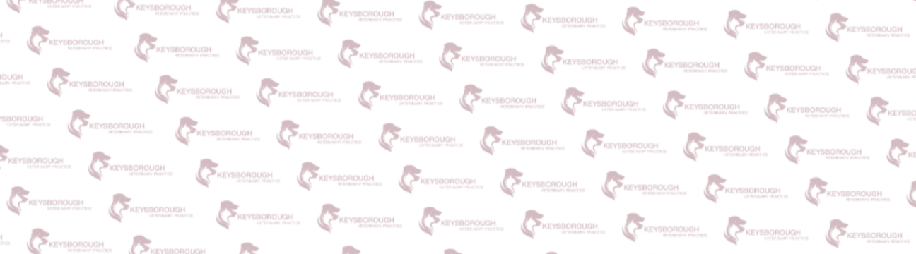KeysboroughVeterinary