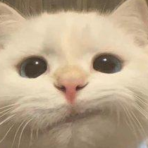 jinglitools