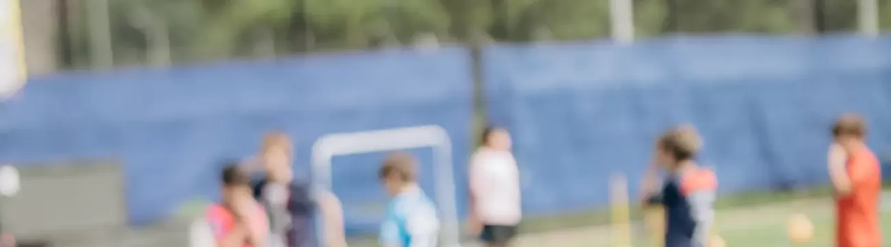 brigeviewsoccer
